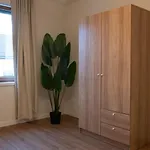 The Line In Oerlikon Zurigo