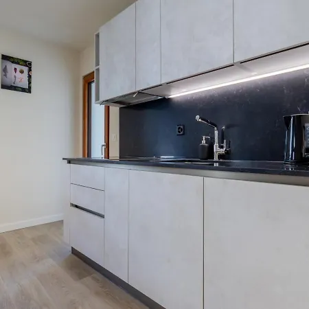 The Line In Oerlikon Appartement Zurich