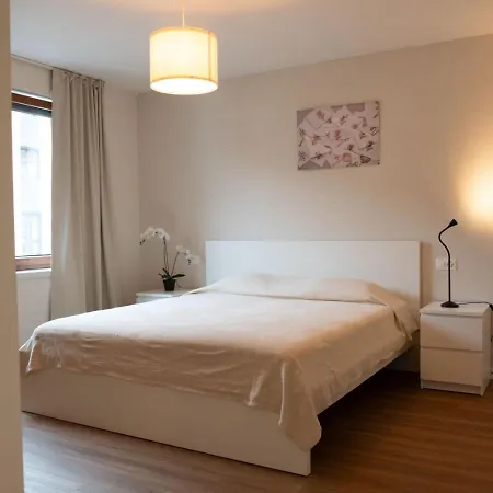 The Line In Oerlikon *