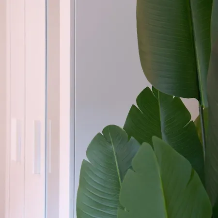 Lägenhet The Line In Oerlikon