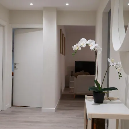 The Line In Oerlikon