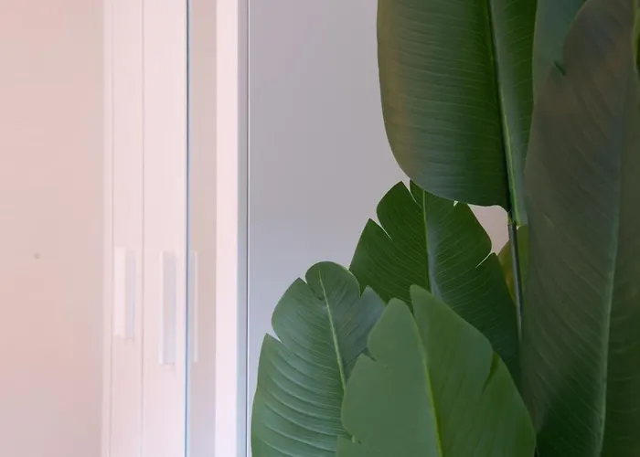 Lägenhet The Line In Oerlikon