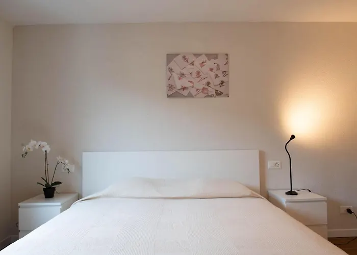 The Line In Oerlikon Lägenhet