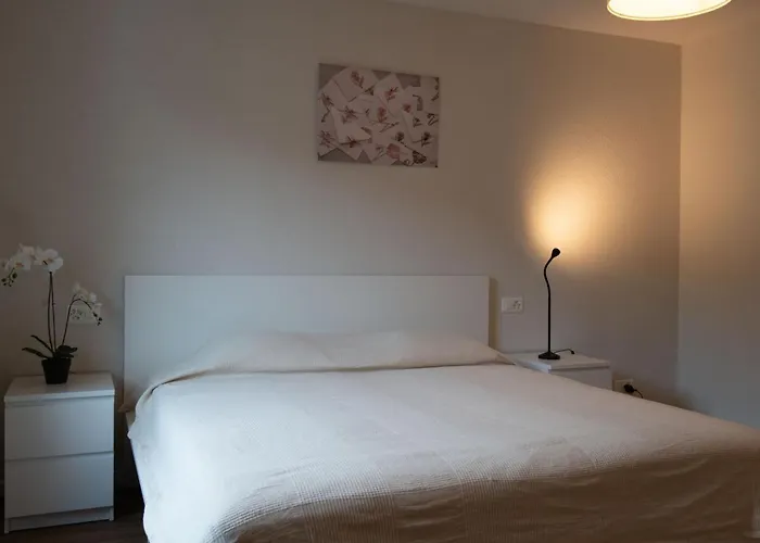 The Line In Oerlikon